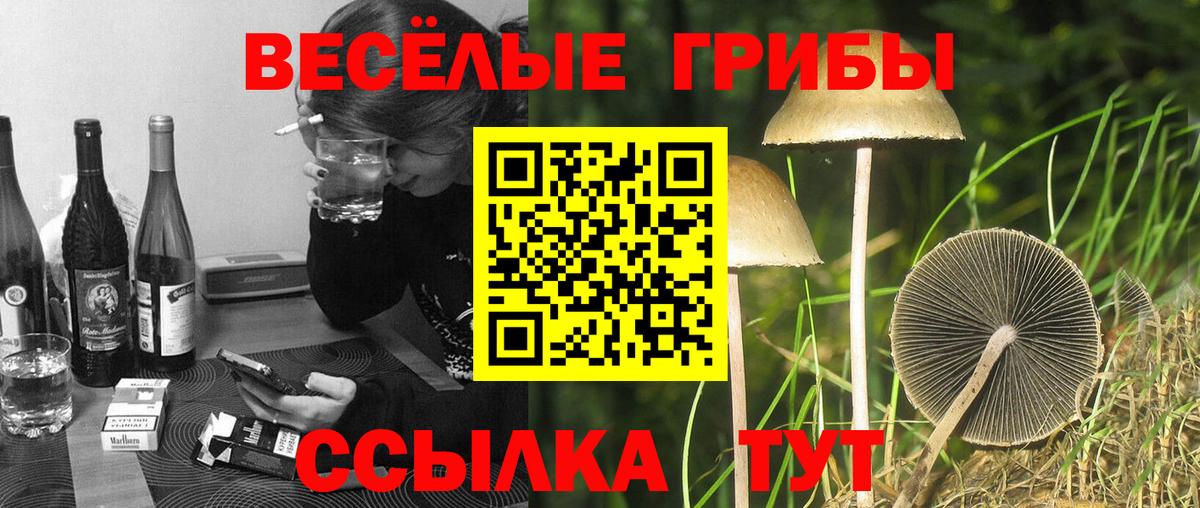 Галлюциногенные грибы мухоморы Казань